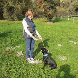 Muriel esnard éducateur et comportementaliste canin lyon vallée d'azergues