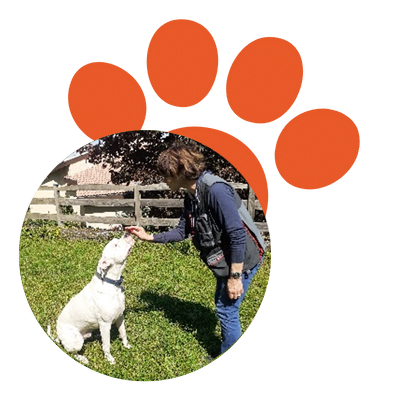 muriel educatrice canine 